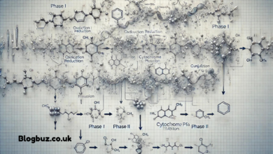 6530-20-1 metabolites