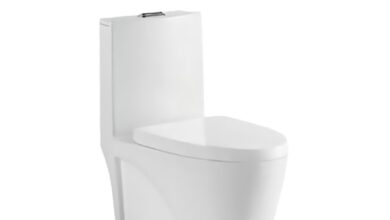 Elongated Dual Flush Toilets