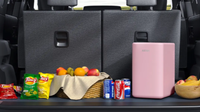 Portable Small Refrigerators for Road Trips and Outdoor Adventures