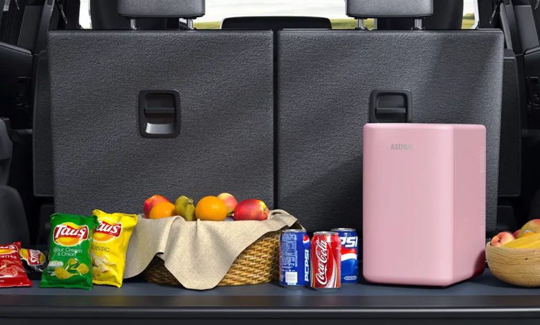 Portable Small Refrigerators for Road Trips and Outdoor Adventures