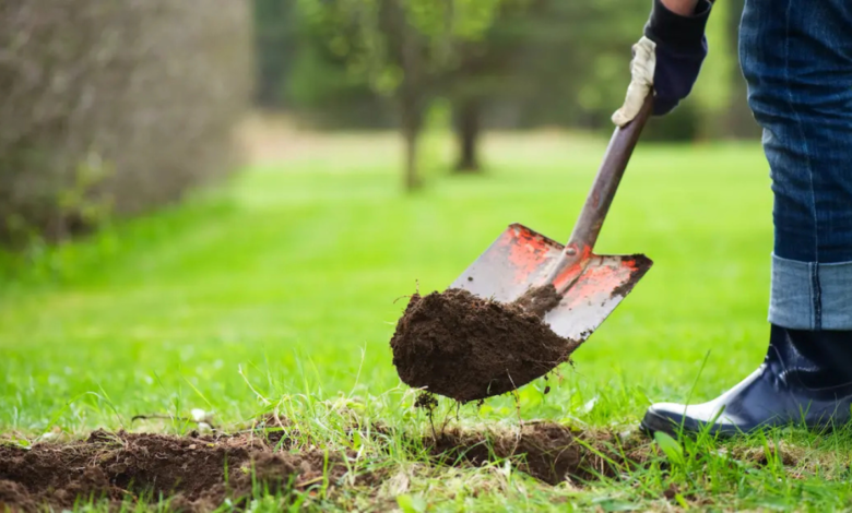 Natural Burial