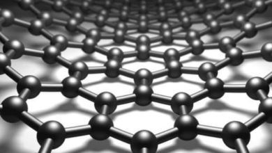 Curved Graphene