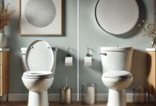 Round vs Elongated Toilet