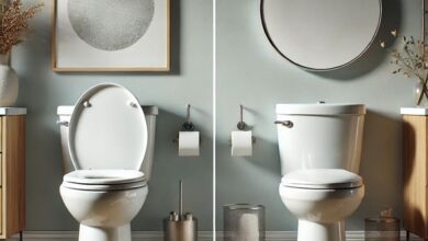 Round vs Elongated Toilet