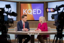 kqed this week david spark carla marinucci