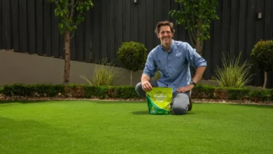 Choosing the Right Turf in Sydney Your Essential Lawn Companion