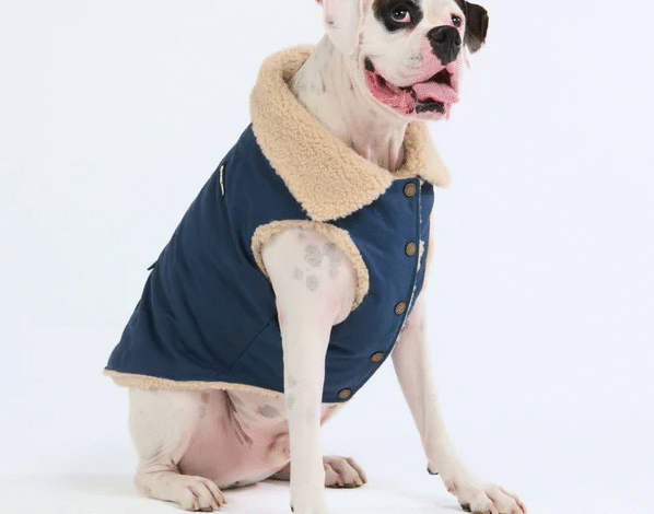 Dog Clothing