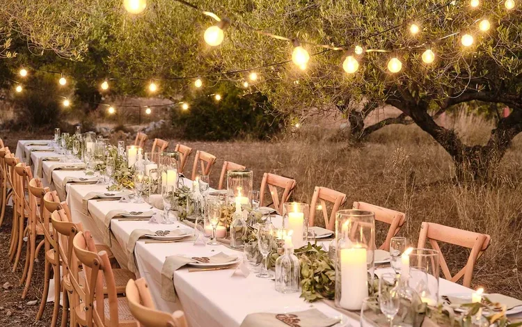 Festoon Lighting