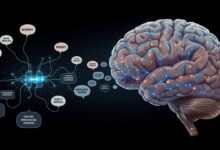 How the Decision Maker Wheel Helps You Stop Overthinking 2025 Guide