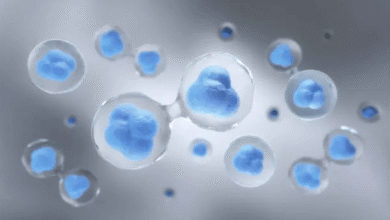 Stem Cell Therapy