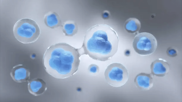 Stem Cell Therapy