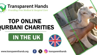 Top International Qurbani Donation Platforms in the UK