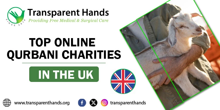 Top International Qurbani Donation Platforms in the UK
