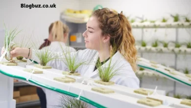 arugula researcher at cambridge