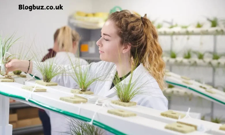 arugula researcher at cambridge