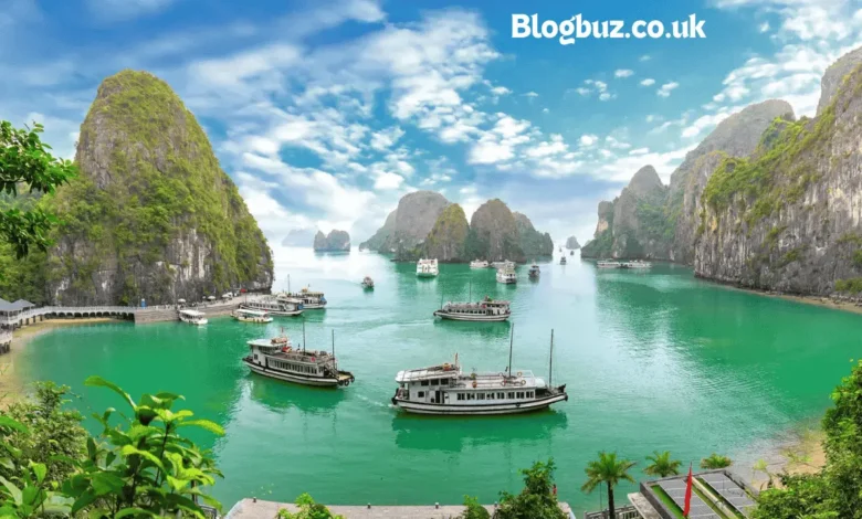 vietnamreview.net