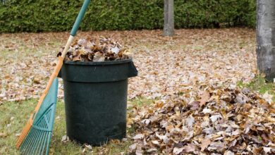 Yard Waste Removal