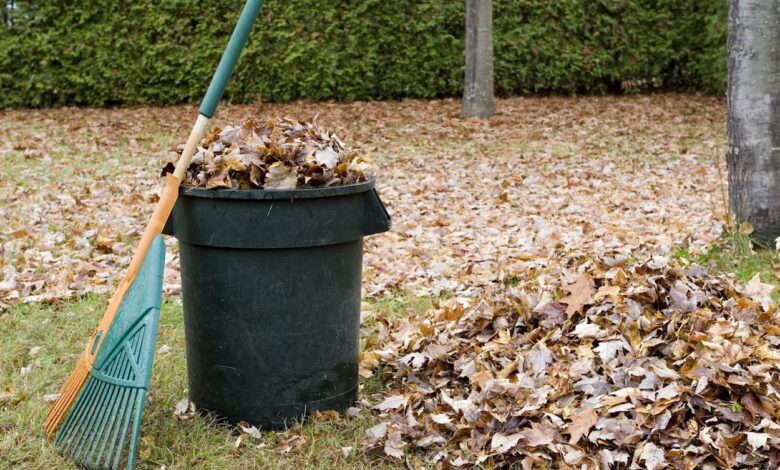 Yard Waste Removal