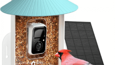 Birdwatching