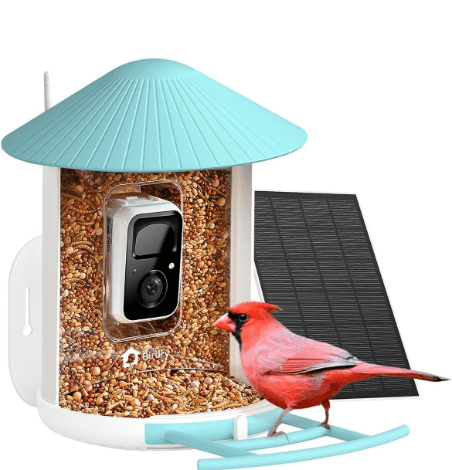Birdwatching