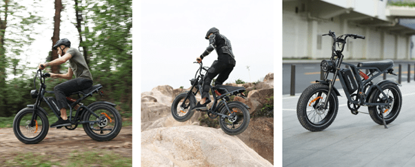 Fat Tire Electric Bikes
