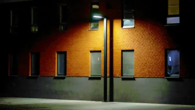 LED Shoebox Light