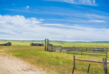 Ranch Land