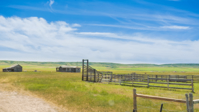 Ranch Land