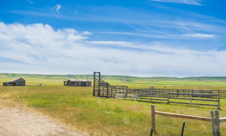 Ranch Land