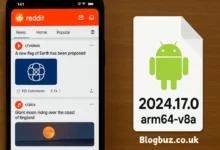 com.reddit.frontpage apk version 2024.17.0 arm64-v8a