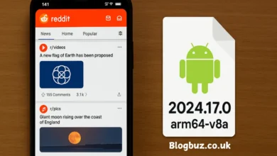 com.reddit.frontpage apk version 2024.17.0 arm64-v8a