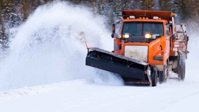 Land Services