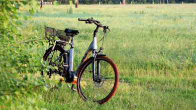 Electric Bike