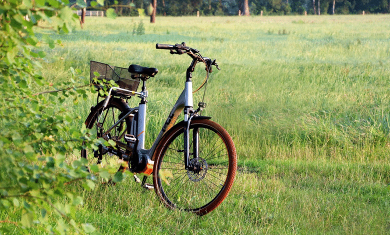 Electric Bike