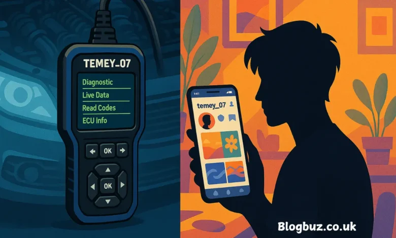 temey_07