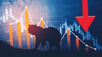 Bear Markets