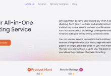EssayWriter Review Hybrid Academic Writing Platform for Students in the U.S.