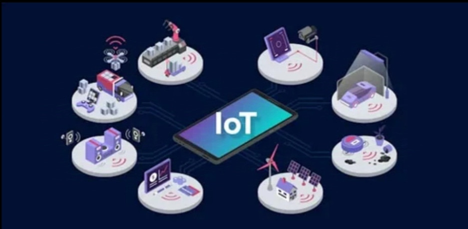 How to Choose the Right IoT App Development Company for Your Business