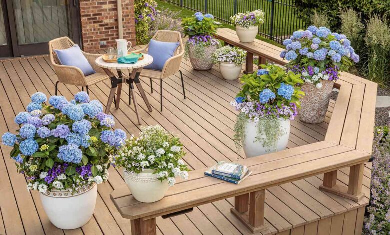 Planter Boxes