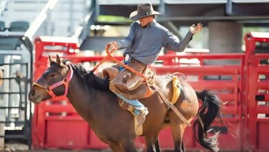 Rodeo Chaps