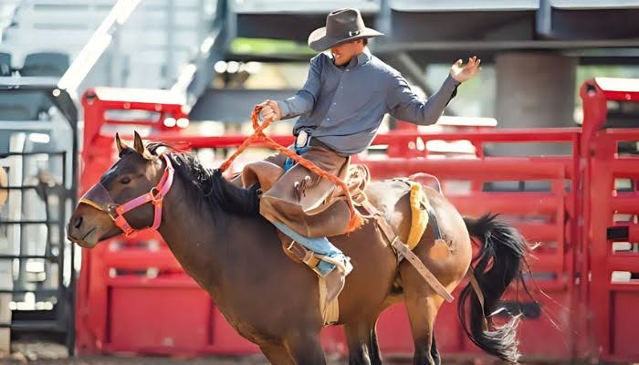 Rodeo Chaps