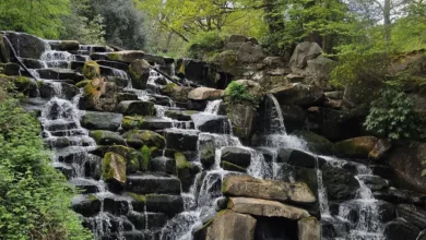 Virginia Water