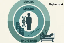 micro macro end stage epidemiology