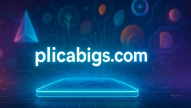 plicabigs.com
