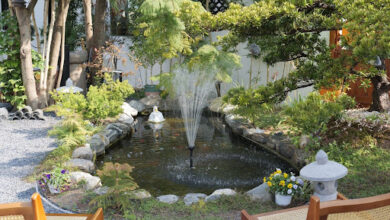 Small Garden Pond