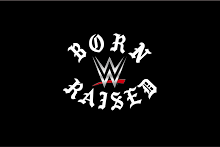 Born x Raised: A Deep Dive into Its Signature Aesthetic