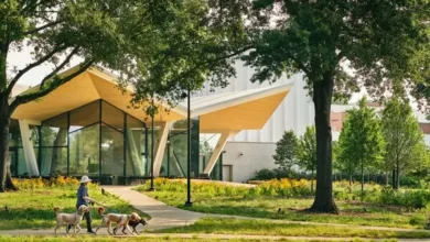 Designing Outdoor Spaces That Last The Art and Science of Landscape Building