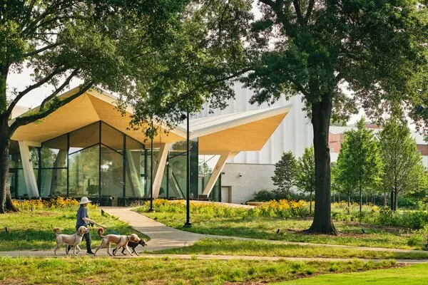 Designing Outdoor Spaces That Last The Art and Science of Landscape Building