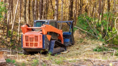 Forestry Mulching