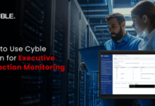 How to Use Cyble Vision for Executive Protection Monitoring